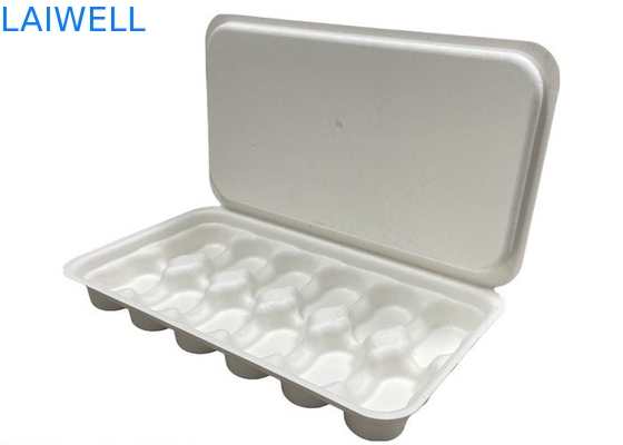 Cor Branca Sustentável Caixa de Caixa de Café Bagasse Não Toxica E Segura Para Alimentos Contato Biodegradável EcoPack Acessórios Com Marca Personalizada